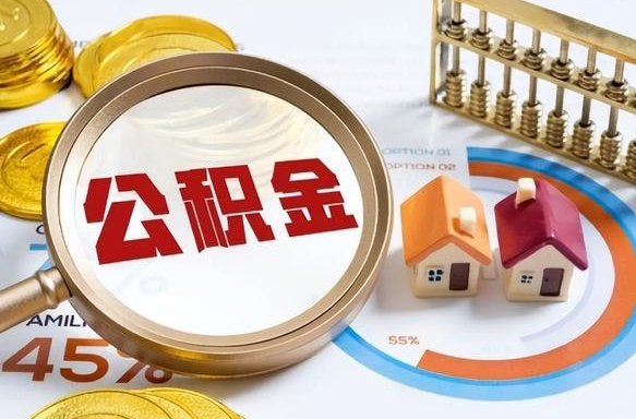 安吉离职了园区公积金一次性代提出（苏州园区住房公积金离职提取）